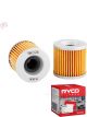Ryco Motorcycle Oil Filter RMC106 + Service Stickers