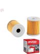 Ryco Motorcycle Oil Filter RMC109 + Service Stickers
