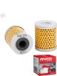Ryco Motorcycle Oil Filter RMC124 + Service Stickers