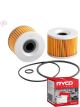 Ryco Motorcycle Oil Filter RMC128 + Service Stickers