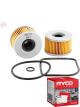 Ryco Motorcycle Oil Filter RMC131 + Service Stickers
