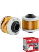 Ryco Motorcycle Oil Filter RMC138 + Service Stickers
