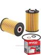 Ryco Oil Filter R2869P + Service Stickers