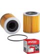 Ryco Oil Filter R2200P + Service Stickers