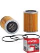 Ryco Oil Filter R243P + Service Stickers