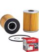 Ryco Oil Filter R2563P + Service Stickers