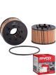 Ryco Oil Filter R2594P + Service Stickers