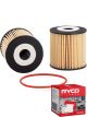 Ryco Oil Filter R2599P + Service Stickers