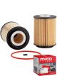 Ryco Oil Filter R2613P + Service Stickers