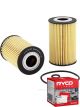 Ryco Oil Filter R2701P + Service Stickers