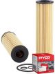Ryco Oil Filter R2703P + Service Stickers