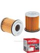 Ryco Transmission Filter RTK303 + Service Stickers