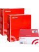 Brembo Rear Disc Brake Rotors + Brake Pads