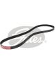 Gates Micro-V Ribbed Belt