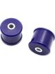 SuperPro Trailing Arm Bush Kit