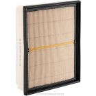 Ryco Air Filter
