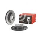 Brembo Disc Brake Rotor (Single) 300mm