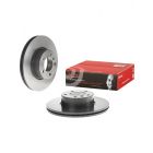 Brembo Disc Brake Rotor (Single) 312mm