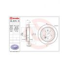Brembo Disc Brake Rotor (Single) 287mm