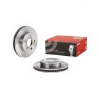 Brembo Disc Brake Rotor (Single) 255mm