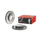 Brembo Disc Brake Rotor (Single) 256mm
