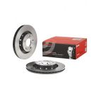 Brembo Disc Brake Rotor (Single) 294mm