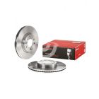 Brembo Disc Brake Rotor (Single) 299mm