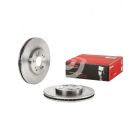 Brembo Disc Brake Rotor (Single) 300mm