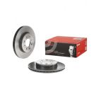Brembo Disc Brake Rotor (Single) 262mm