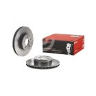 Brembo Disc Brake Rotor (Single) 260mm