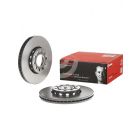Brembo Disc Brake Rotor (Single) 288mm