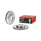 Brembo Disc Brake Rotor (Single) 280mm