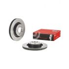Brembo Disc Brake Rotor (Single) 337mm