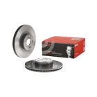 Brembo Disc Brake Rotor (Single) 293mm