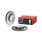 Brembo Disc Brake Rotor (Single) 278mm