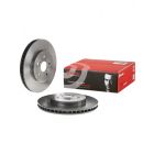Brembo Disc Brake Rotor (Single) 319mm