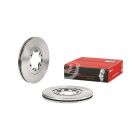 Brembo Disc Brake Rotor (Single) 256mm