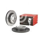Brembo Disc Brake Rotor (Single) 336mm