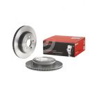 Brembo Disc Brake Rotor (Single) 320mm