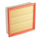 Ryco Air Filter