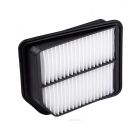 Ryco Air Filter
