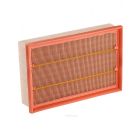 Ryco Air Filter