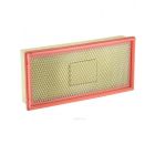 Ryco Air Filter