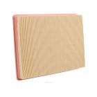 Ryco Air Filter