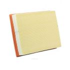 Ryco Air Filter