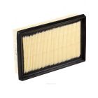 Ryco Air Filter