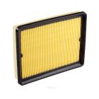 Ryco Air Filter