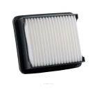 Ryco Air Filter