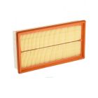 Ryco Air Filter