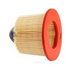 Ryco Air Filter